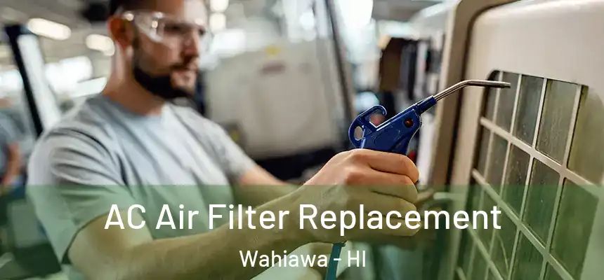  AC Air Filter Replacement Wahiawa - HI
