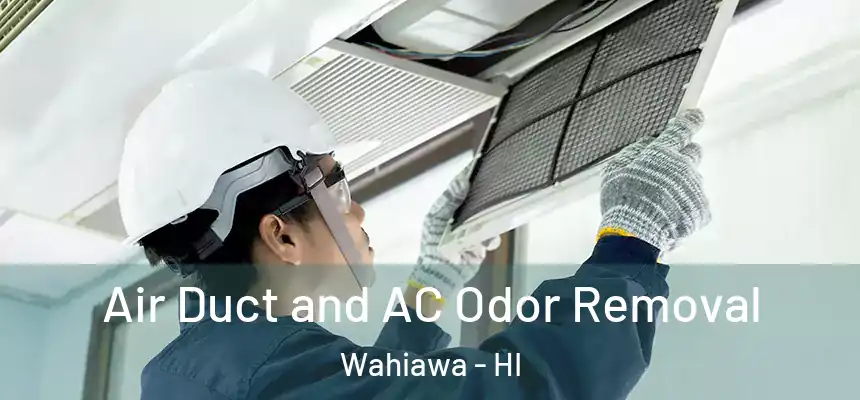  Air Duct and AC Odor Removal Wahiawa - HI