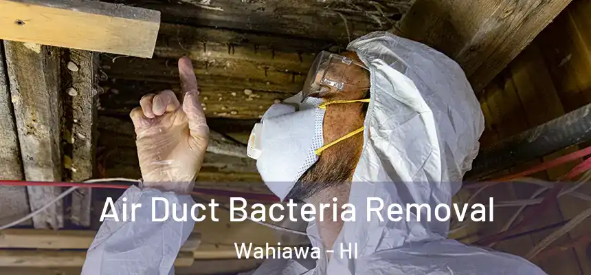  Air Duct Bacteria Removal Wahiawa - HI