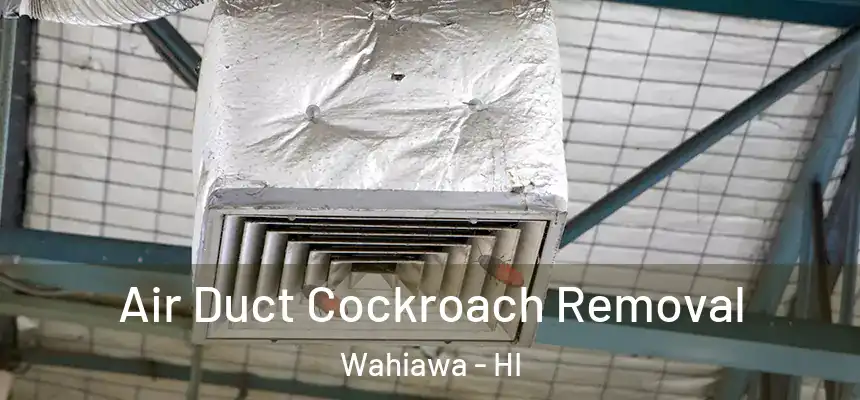  Air Duct Cockroach Removal Wahiawa - HI