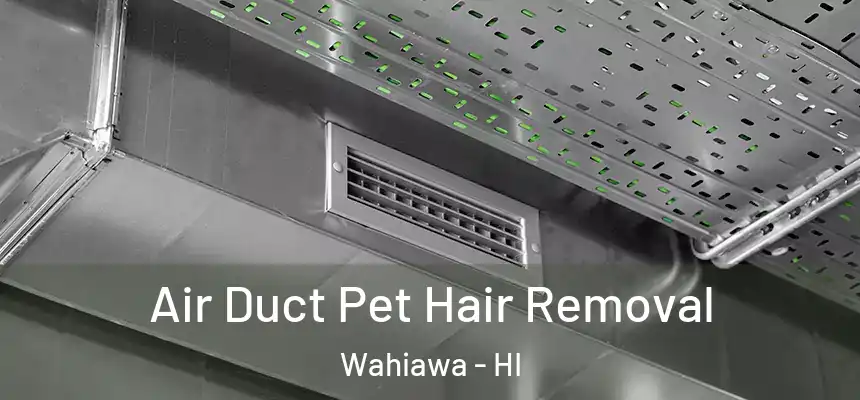  Air Duct Pet Hair Removal Wahiawa - HI