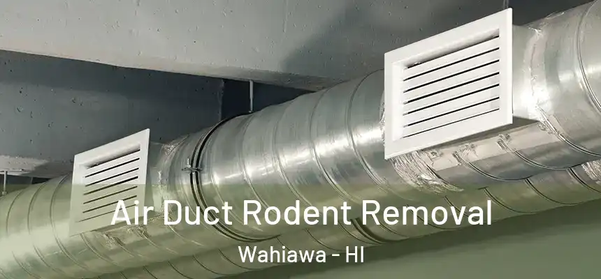  Air Duct Rodent Removal Wahiawa - HI