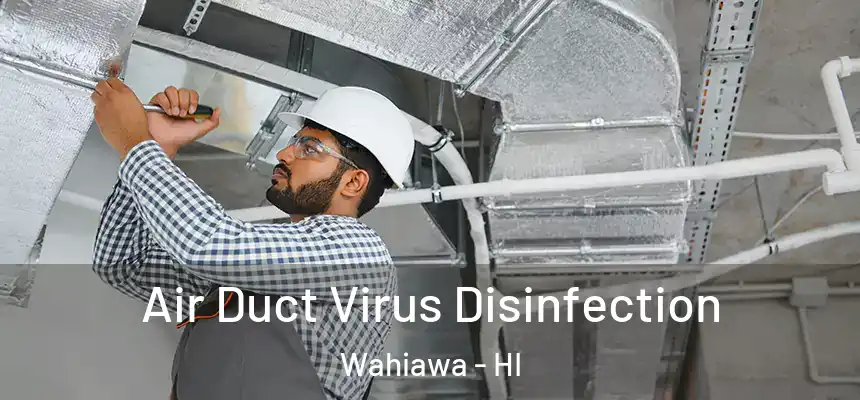  Air Duct Virus Disinfection Wahiawa - HI