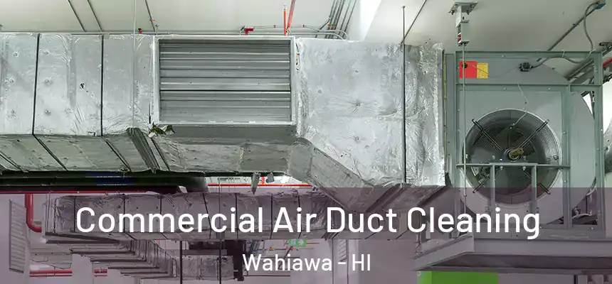  Commercial Air Duct Cleaning Wahiawa - HI
