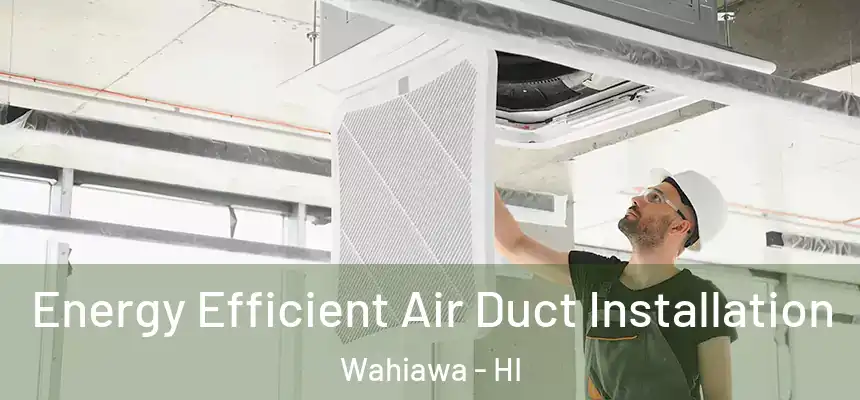  Energy Efficient Air Duct Installation Wahiawa - HI