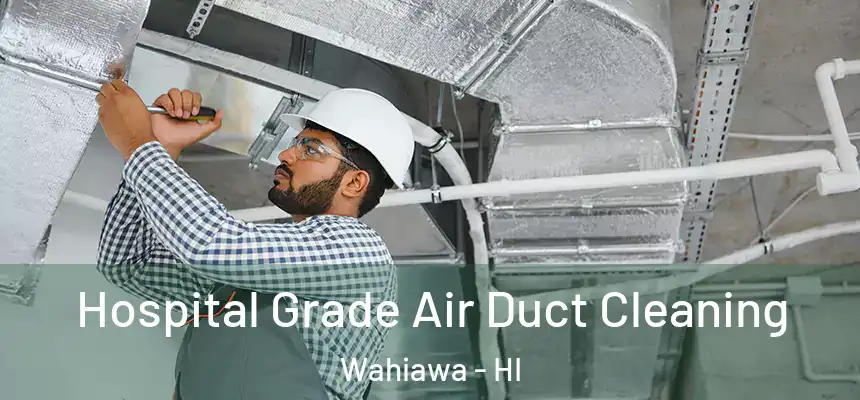  Hospital Grade Air Duct Cleaning Wahiawa - HI