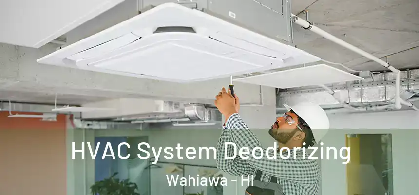  HVAC System Deodorizing Wahiawa - HI