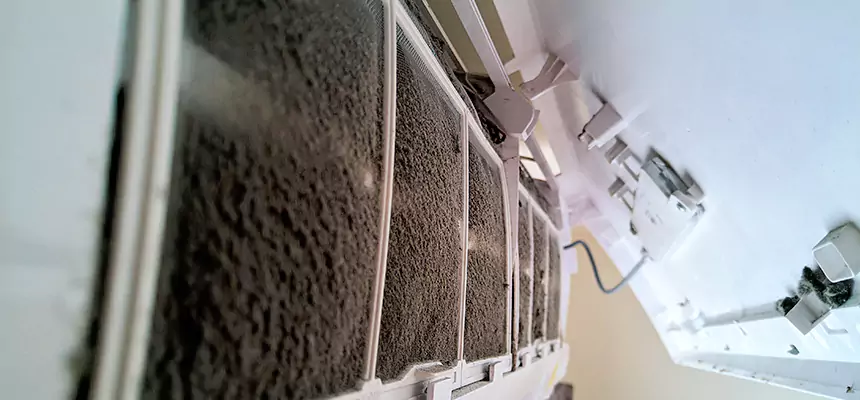 Preventive Air Duct Bacteria Removal in Wahiawa