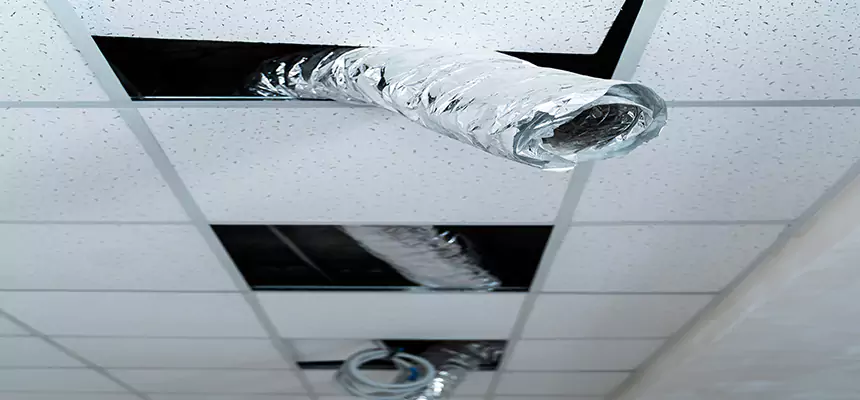 Our Air Duct Pet Hair Removal Services in Wahiawa, HI