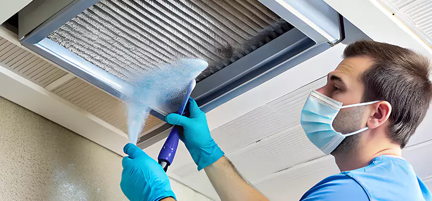 Proactive Dryer Vent & Auxiliary Duct Pollen Cleanup in Wahiawa, HI