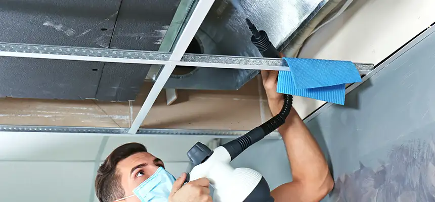 Our Air Duct Rodent Removal Services in Wahiawa, HI