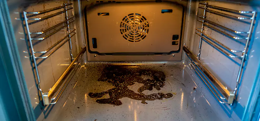 Our Air Purifier Installation Services in Wahiawa, HI