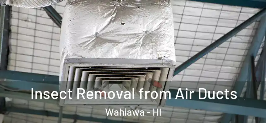  Insect Removal from Air Ducts Wahiawa - HI