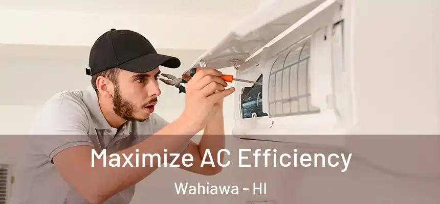  Maximize AC Efficiency Wahiawa - HI