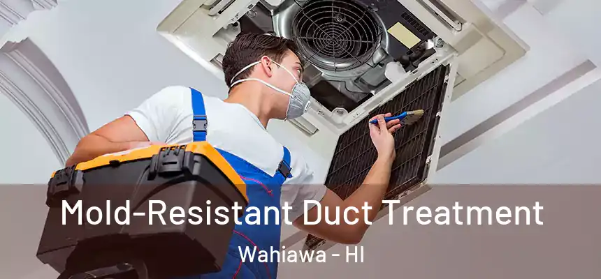  Mold-Resistant Duct Treatment Wahiawa - HI