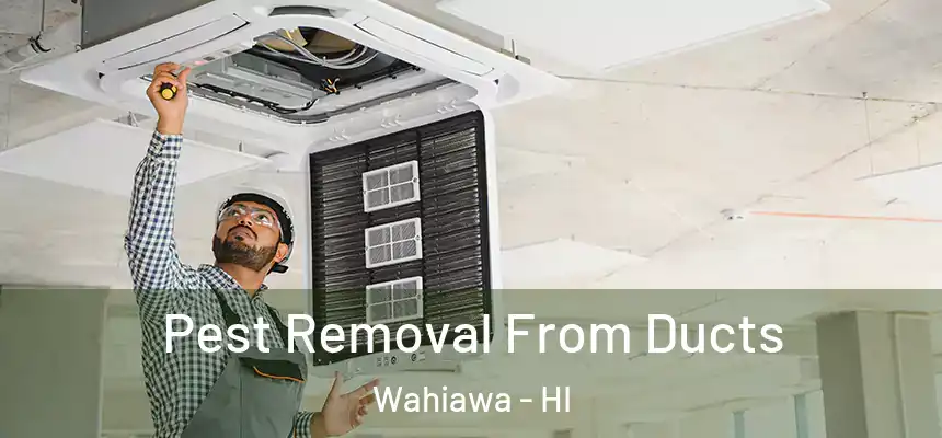  Pest Removal From Ducts Wahiawa - HI