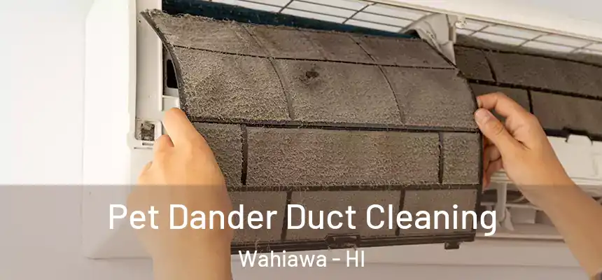  Pet Dander Duct Cleaning Wahiawa - HI