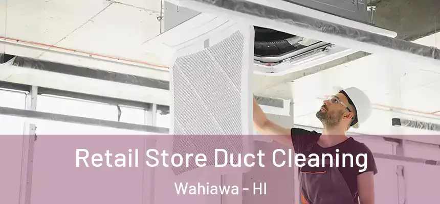  Retail Store Duct Cleaning Wahiawa - HI