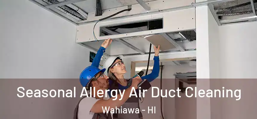  Seasonal Allergy Air Duct Cleaning Wahiawa - HI