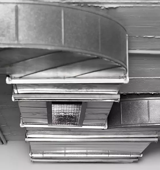 Professional Air Duct Pet Hair Removal in Wahiawa, HI