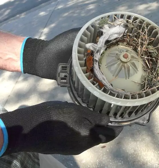 About Air Duct Rat Removal in Wahiawa, HI