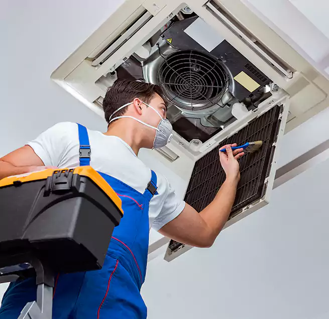 Why Homeowners & Businesses Trust Us in Wahiawa, HI