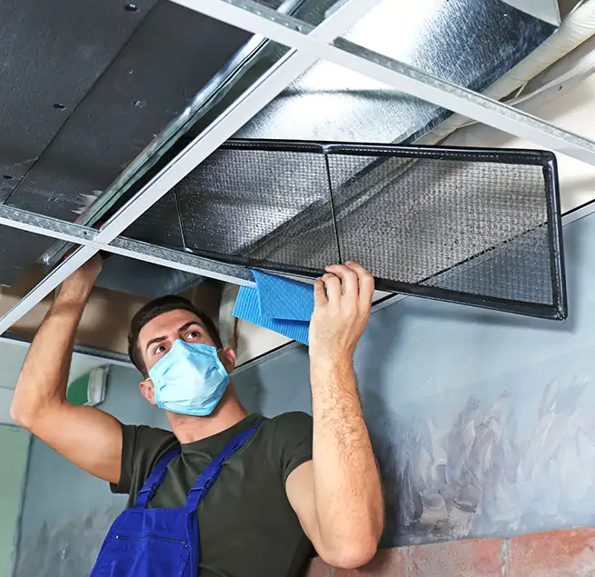 Why Homeowners & Businesses Trust Us in Wahiawa, HI?