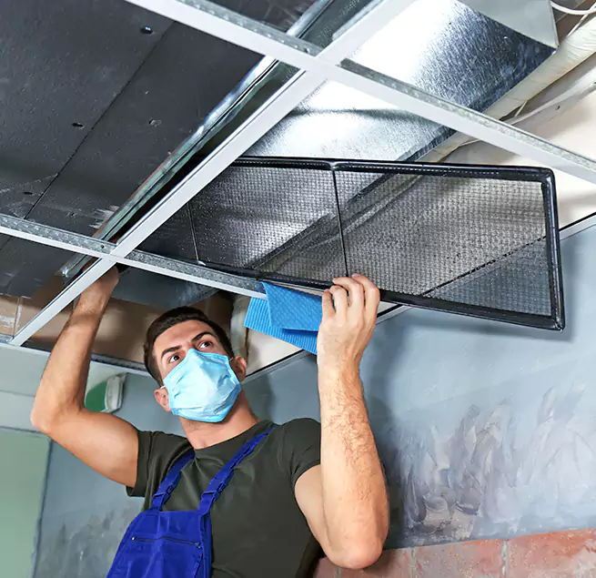 Why Homeowners & Businesses Trust Us in Wahiawa, HI?