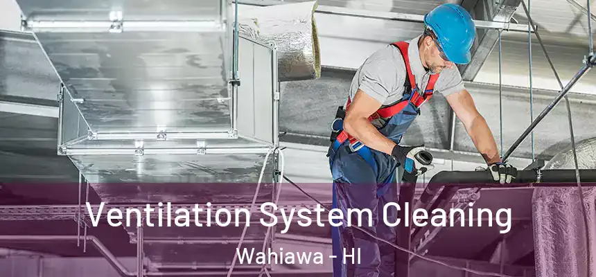  Ventilation System Cleaning Wahiawa - HI